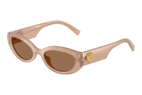 Sunglasses Dolce & Gabbana DG4537 304273