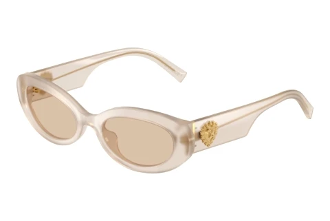 Sunglasses Dolce & Gabbana DG4537 342093
