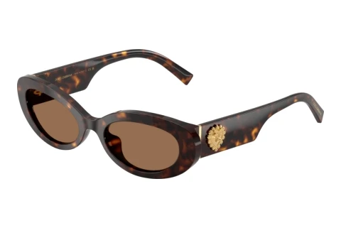 Sunglasses Dolce & Gabbana DG4537 502/73