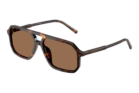 Sunglasses Dolce & Gabbana DG4541 502/73