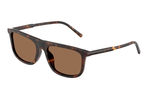 Sunglasses Dolce & Gabbana DG4542 502/73