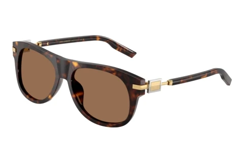 Sunglasses Dolce & Gabbana DG4546 502/73
