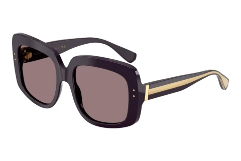 Sunglasses Dolce & Gabbana DG4557 35017N