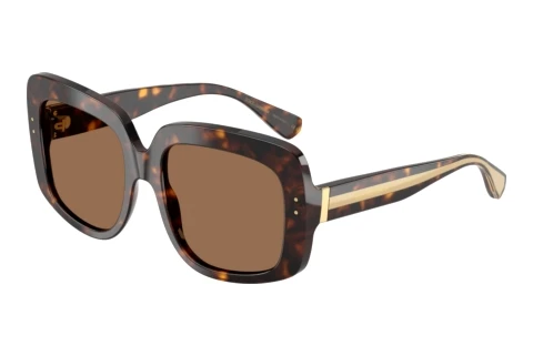 Sunglasses Dolce & Gabbana DG4557 502/73