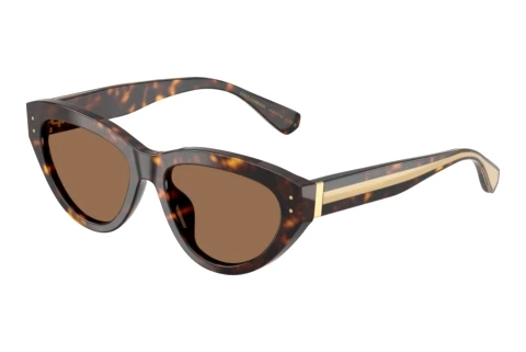 Sunglasses Dolce & Gabbana DG4558 502/73