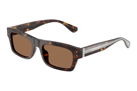 Sunglasses Dolce & Gabbana DG4560 502/73