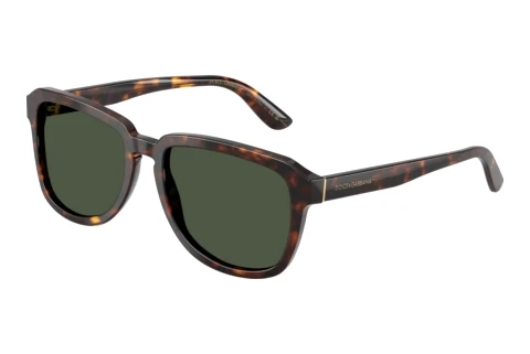Sunglasses Dolce & Gabbana DG4566 502/9A