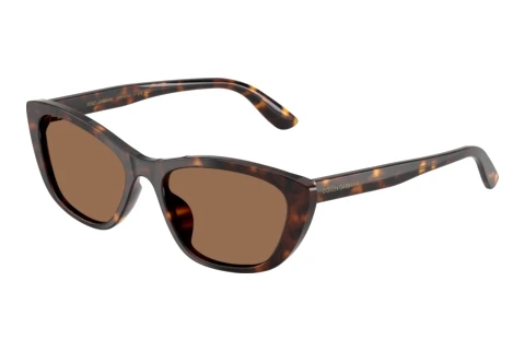 Sunglasses Dolce & Gabbana DG4571 502/73
