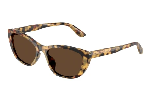 Sunglasses Dolce & Gabbana DG4571 512/73