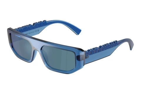 Sunglasses Dolce & Gabbana DG6203 300925