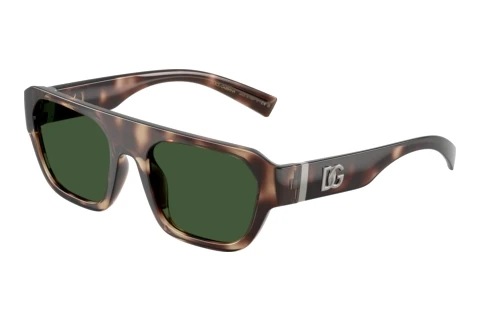 Sunglasses Dolce & Gabbana DG6206 344482