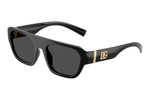 Sunglasses Dolce & Gabbana DG6206 501/87