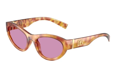 Sunglasses Dolce & Gabbana DG6207 34771A