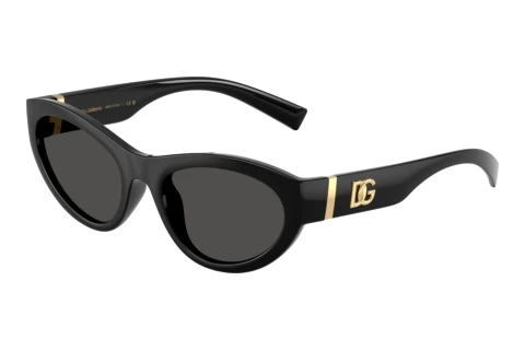 Sunglasses Dolce & Gabbana DG6207 501/87