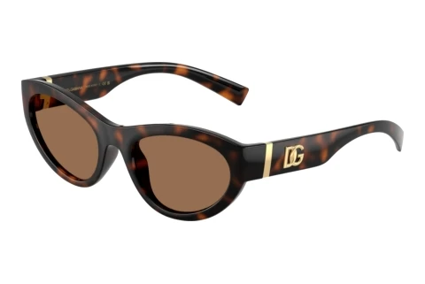 Sunglasses Dolce & Gabbana DG6207 502/73