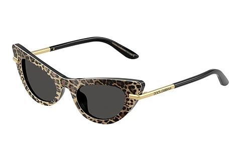 Sunglasses Dolce & Gabbana DX4008 316397