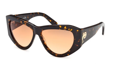 Sunglasses Emilio Pucci EP0241 52F