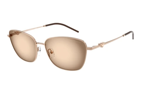 Sunglasses Emporio Armani EA2170 301113