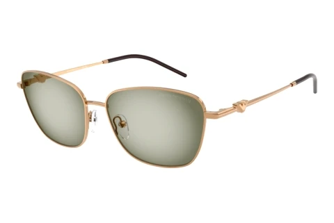 Sunglasses Emporio Armani EA2170 342713