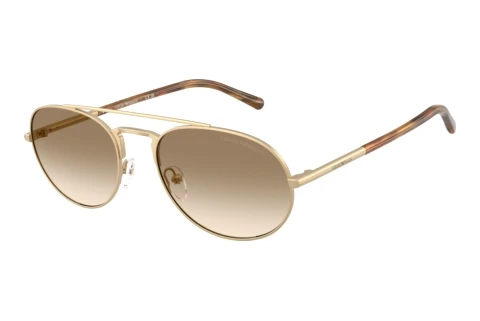 Sunglasses Emporio Armani EA2171 300213