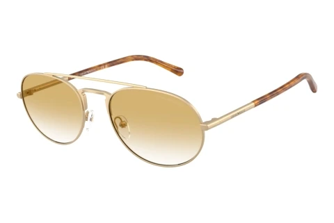 Sunglasses Emporio Armani EA2171 30022Q