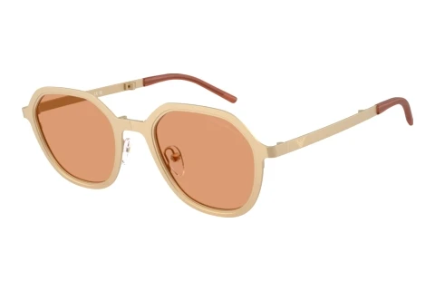 Sunglasses Emporio Armani EA2176 3002/7