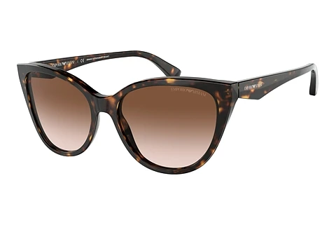 Sunglasses Emporio Armani EA4162 587913