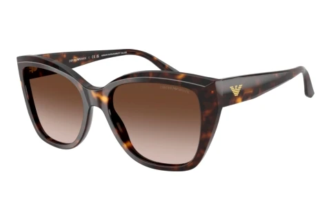 Sunglasses Emporio Armani EA4198 502613