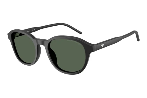 Sunglasses Emporio Armani EA4247U 500171
