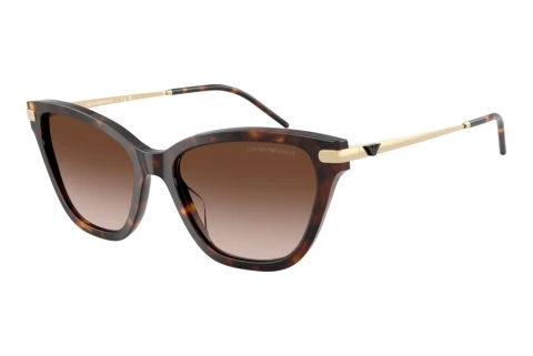 Sunglasses Emporio Armani EA4251 502613