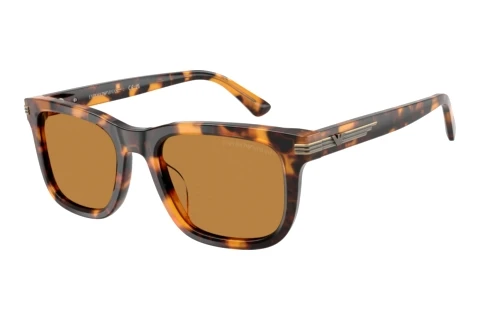 Sunglasses Emporio Armani EA4282U 591693