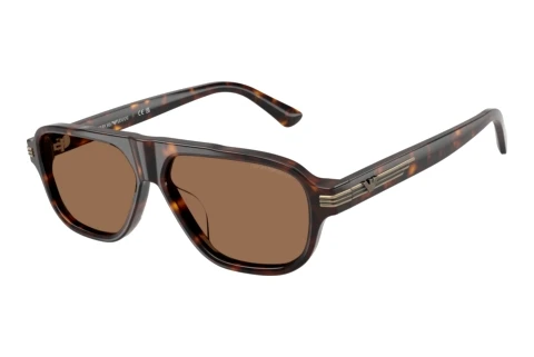 Sunglasses Emporio Armani EA4285U 502673
