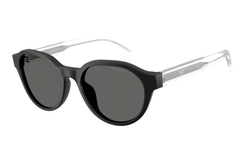 Sunglasses Emporio Armani EK4008U 500187