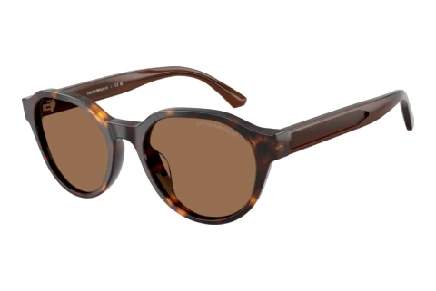Sunglasses Emporio Armani EK4008U 502673