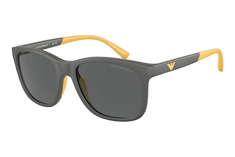 Sunglasses Emporio Armani EK4184 506087