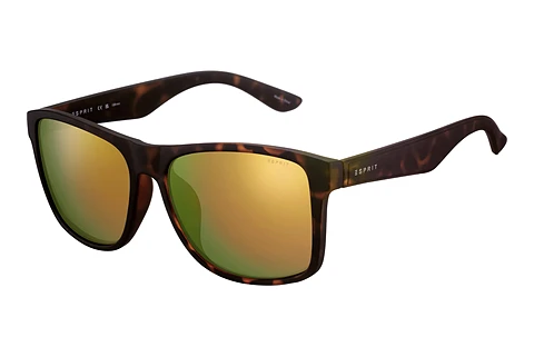 Sunglasses Esprit ET39276 545