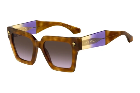 Sunglasses Etro ETRO 0113/S AY0/QR