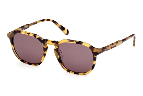 Sunglasses Gant GA00033 53E