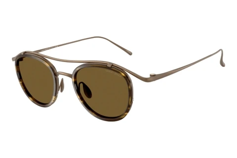 Sunglasses Giorgio Armani AR6179T 342973