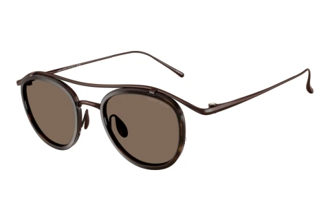 Sunglasses Giorgio Armani AR6179T 343073