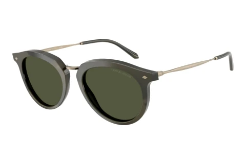 Sunglasses Giorgio Armani AR6191 646852
