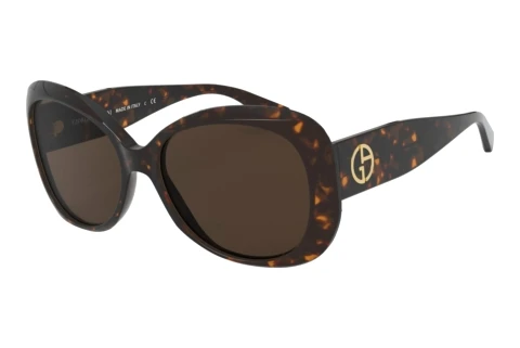 Sunglasses Giorgio Armani AR8132 502673