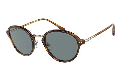 Sunglasses Giorgio Armani AR8139 5762R5
