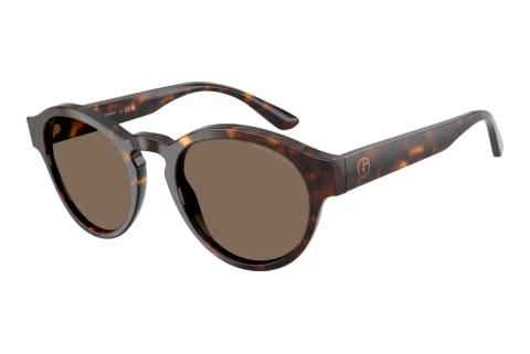 Sunglasses Giorgio Armani AR8146 502673