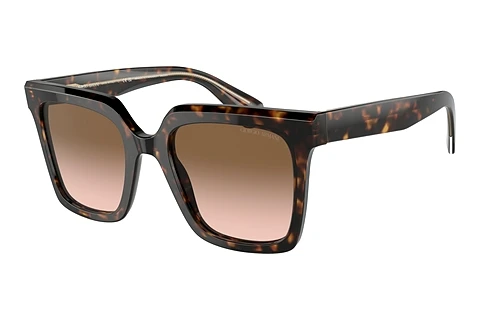 Sunglasses Giorgio Armani AR8156 587951