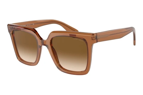 Sunglasses Giorgio Armani AR8156 593251