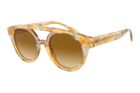 Sunglasses Giorgio Armani AR8163 57612L