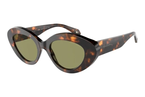 Sunglasses Giorgio Armani AR8188 599314