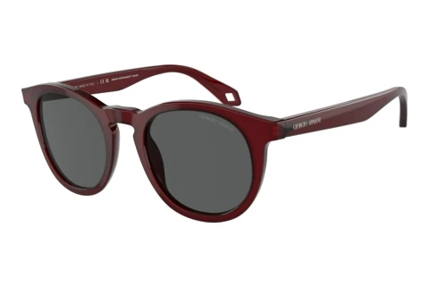 Sunglasses Giorgio Armani AR8192 6045B1