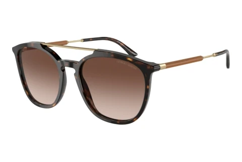 Sunglasses Giorgio Armani AR8198 502613
